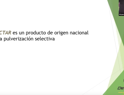 AL RITMO DE LAS NUEVAS TECNOLOGÍAS – DETECTAR (Alejandro Cavaglia)